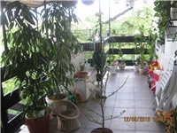 2849f1be-Marica auto 435.jpg